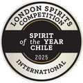 Spirit of the Year Chile